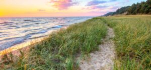 Lakeside landscape with beach grass and water